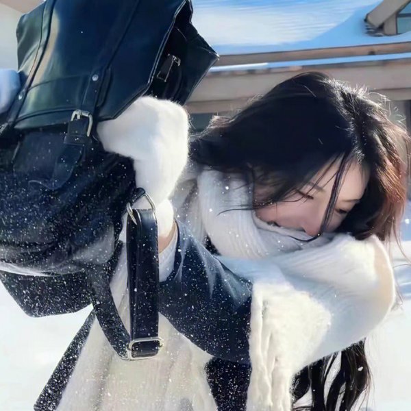齐姆与友