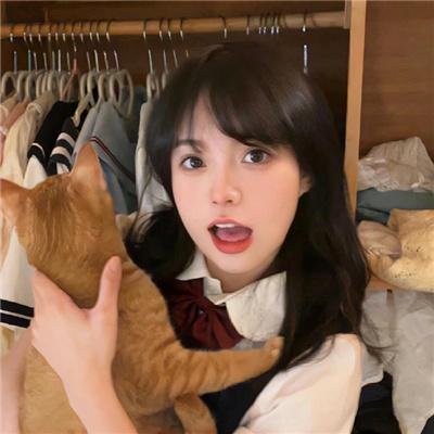 美味家族